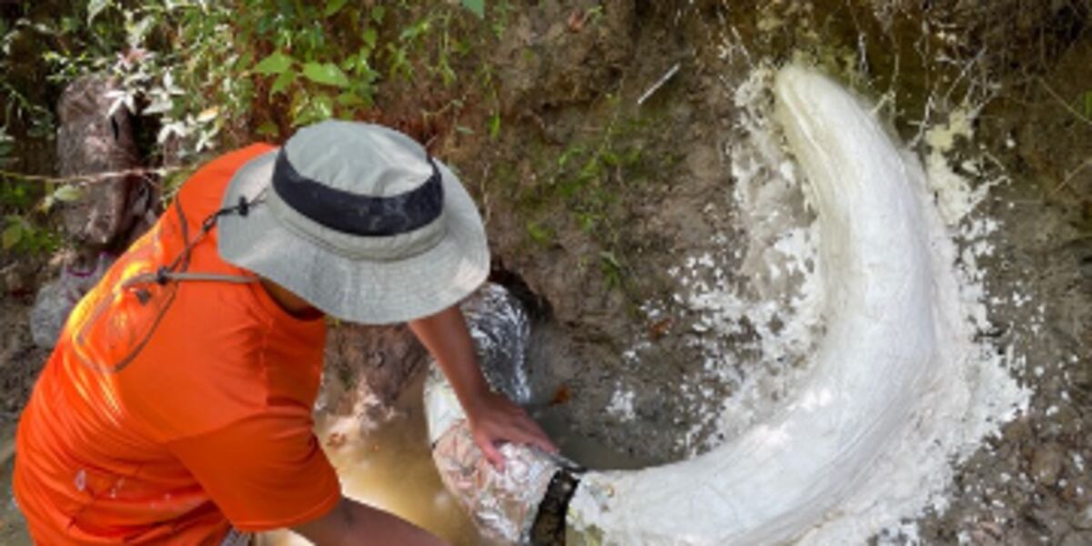 Scientists Unearth Massive 'Hot Blob' Under Appalachians, Threatening NYC's Geology