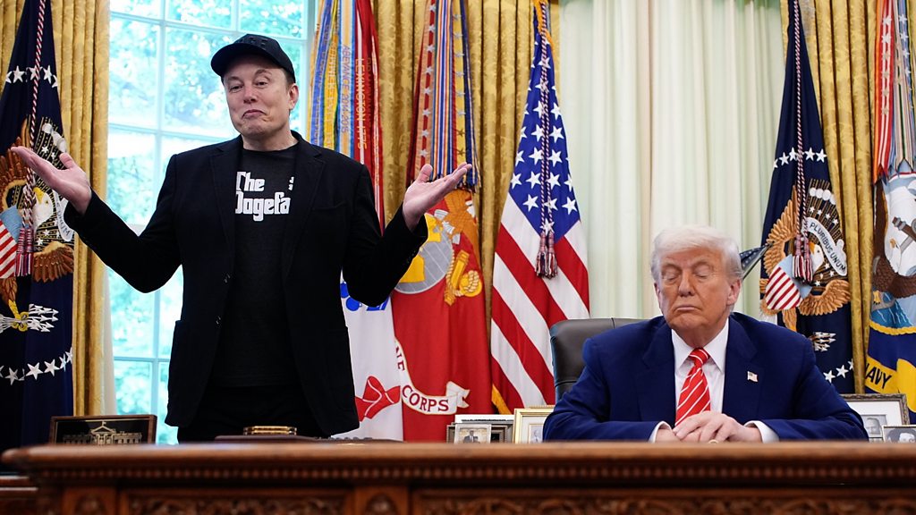 Image for Elon Musk Backs Trump’s Call to Federalize DC After DOGE Employee's Heroic Assault Response