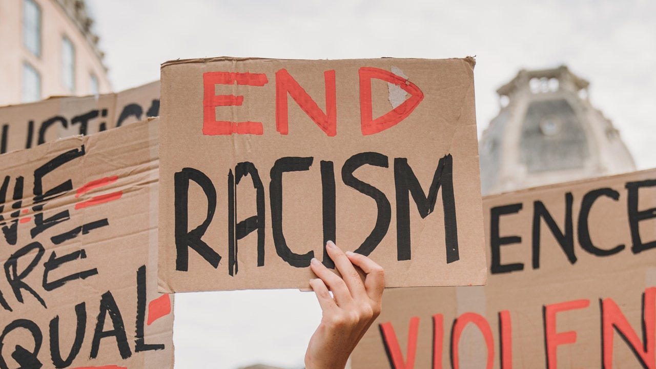 AfD MEP Claims Whites Face 'Anti-Racism' Bias After Murder Case