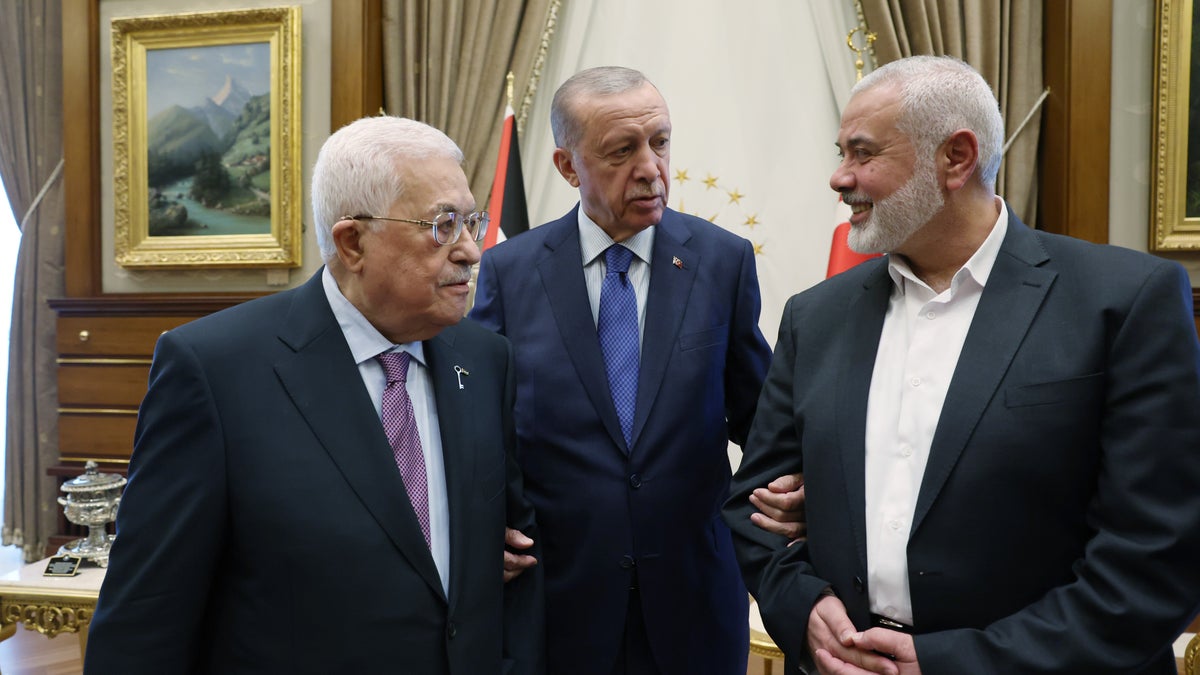 Image for Erdogan: Turkey cannot accept displacement or extermination of Palestinians