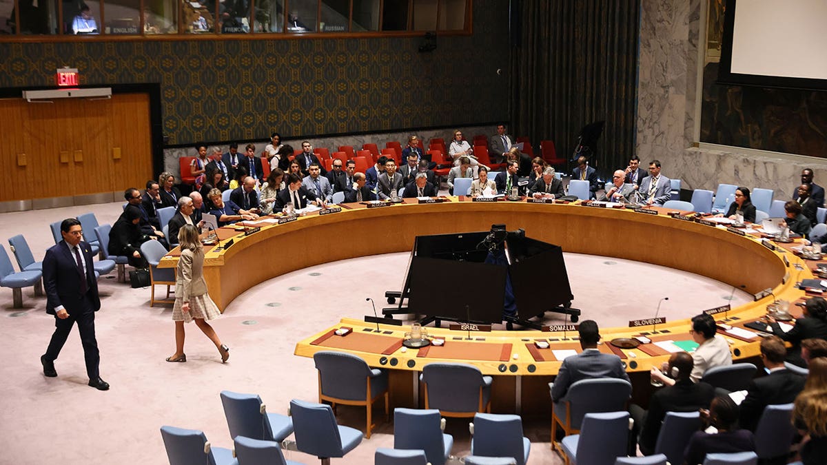Image for Russian Representative to UNSC Declares SnapBack Decision Null and Void