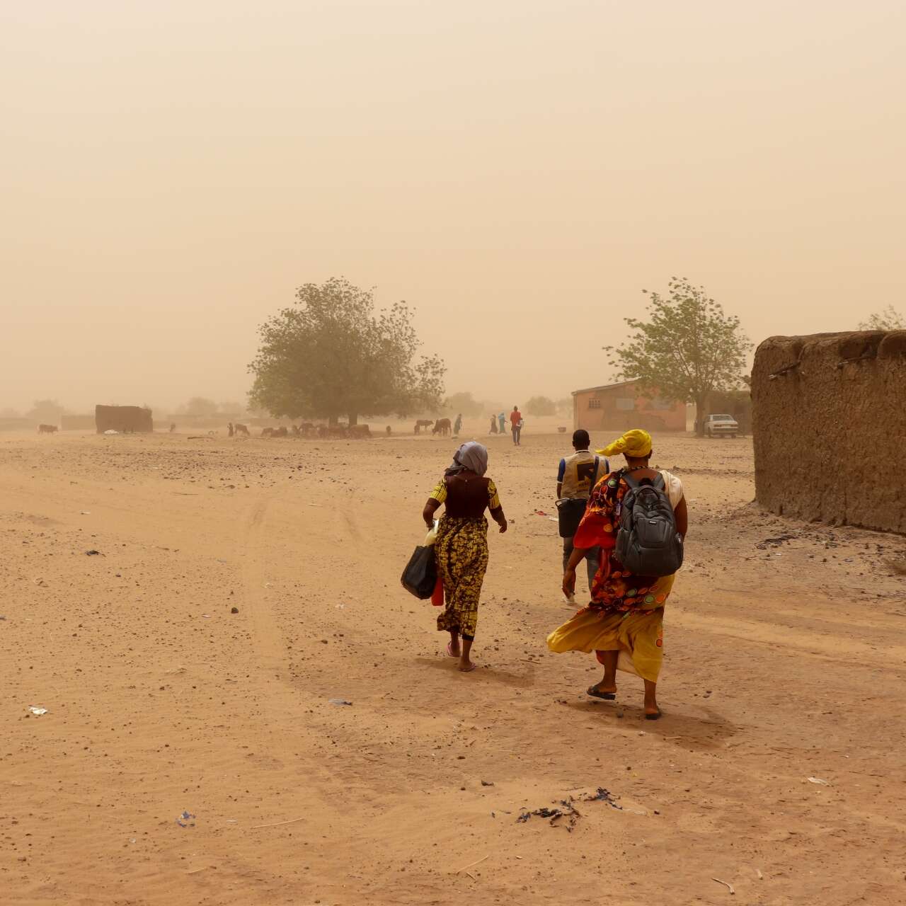 Image for Frontline conditions in 2025 see small squads facing increased dangers