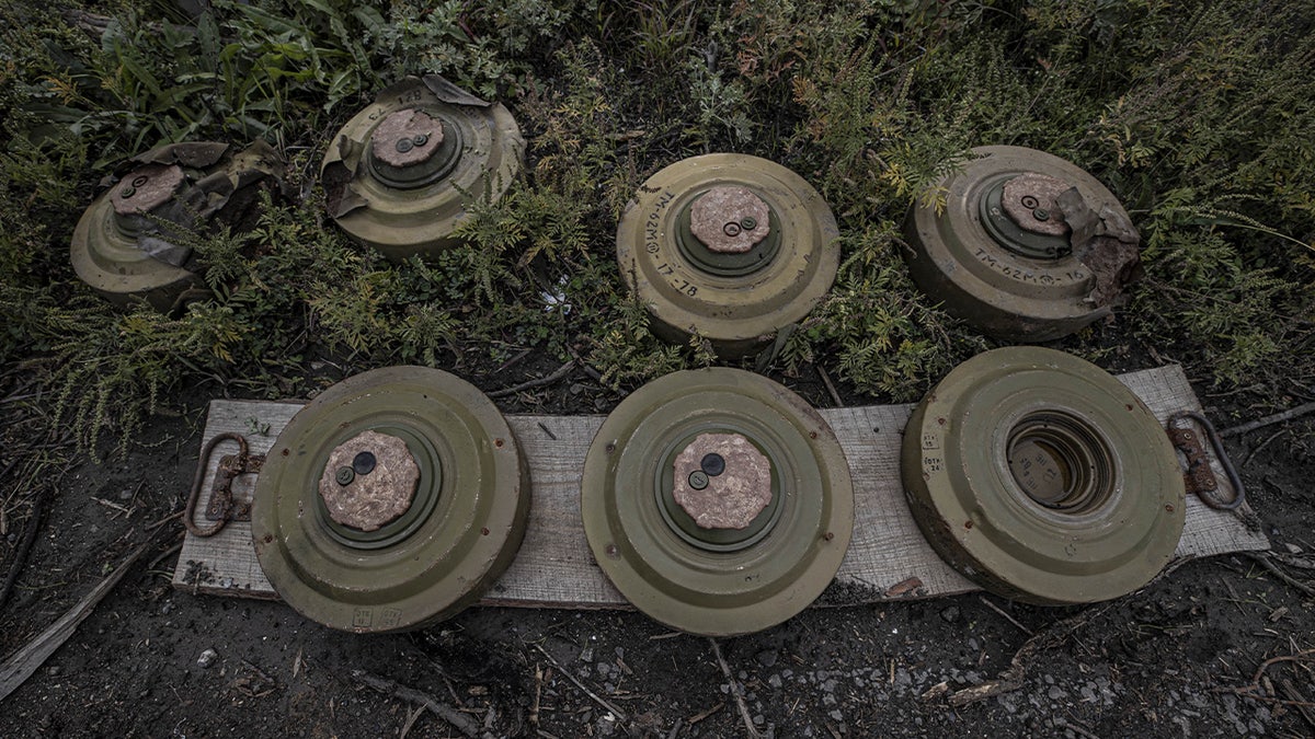 Image for Poland to produce anti-personnel mines for eastern border defense
