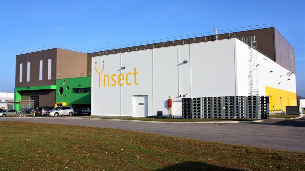 French insect farming company Ynsect liquidated after failing to profit