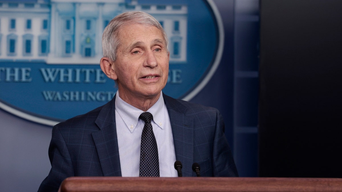 Dr. Anthony Fauci seen on flight wearing COVID-19 mask