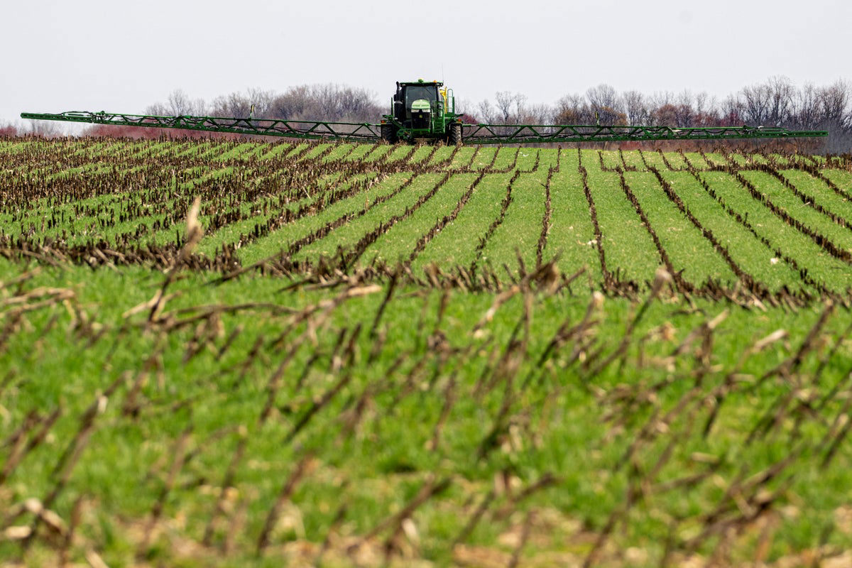 President Trump considers $10 billion bailout for U.S. farmers