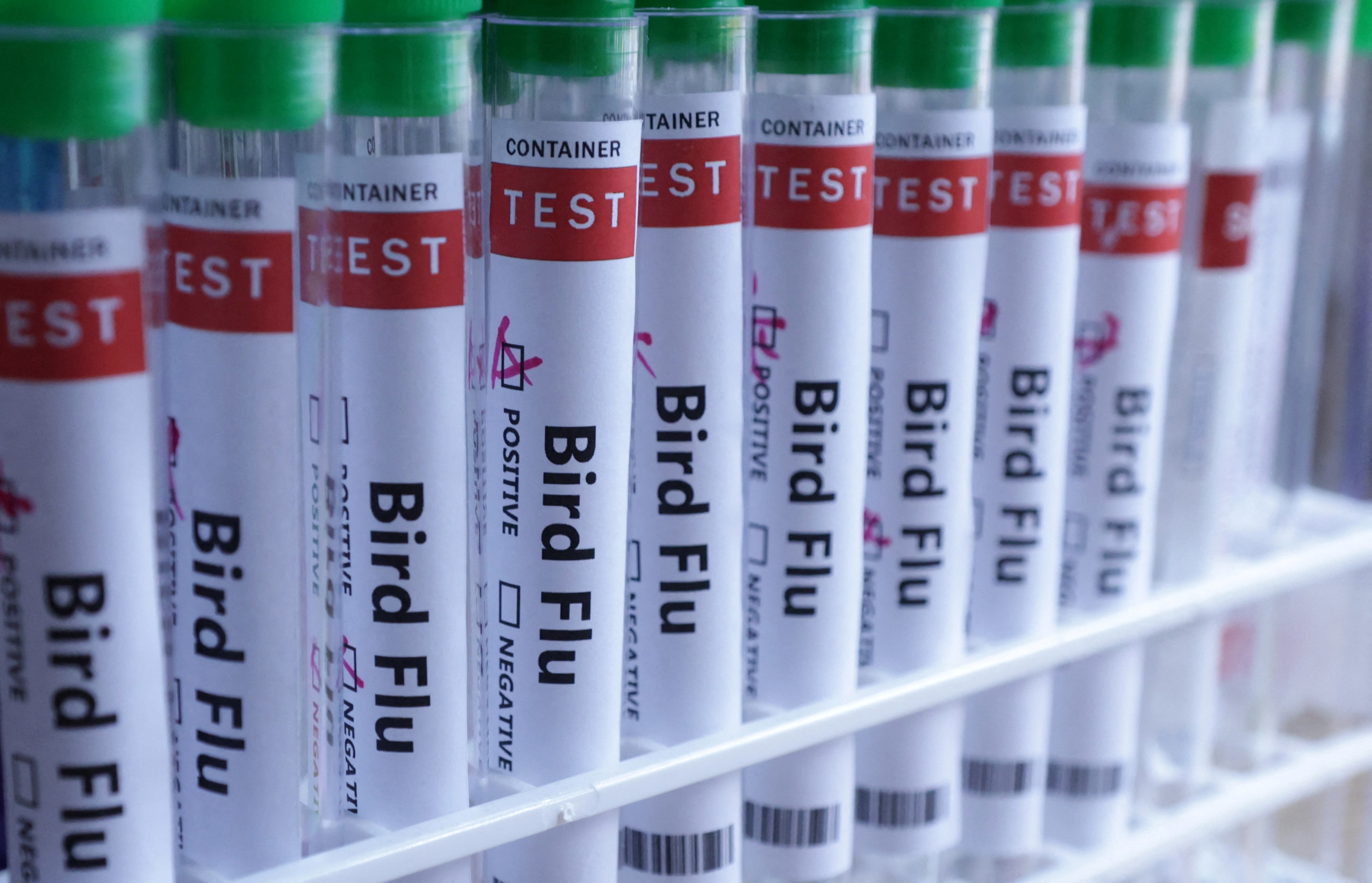 Mexico reports new human case of H5 bird flu in Mexico City