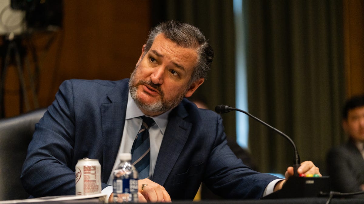 Senator Ted Cruz proposes plan to label right-wing criticism of Israel as antisemitic