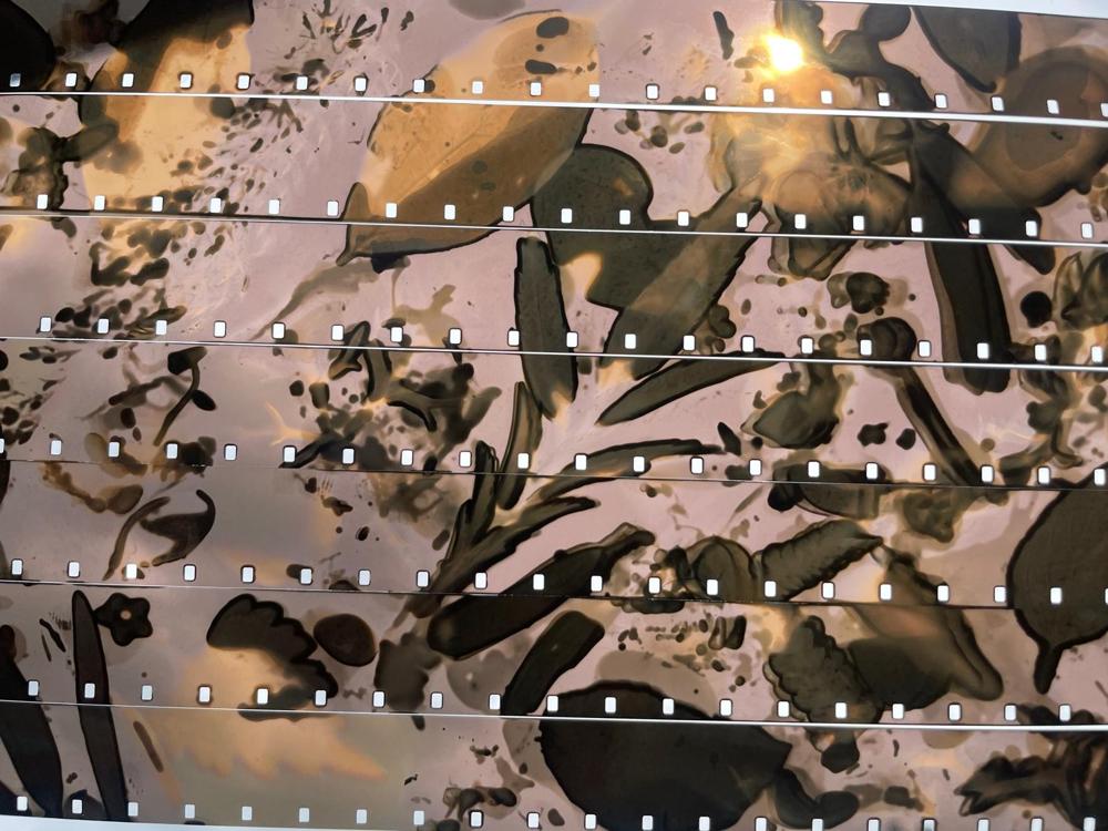 Image for X disables automatic translations for Hebrew posts due to policy violations