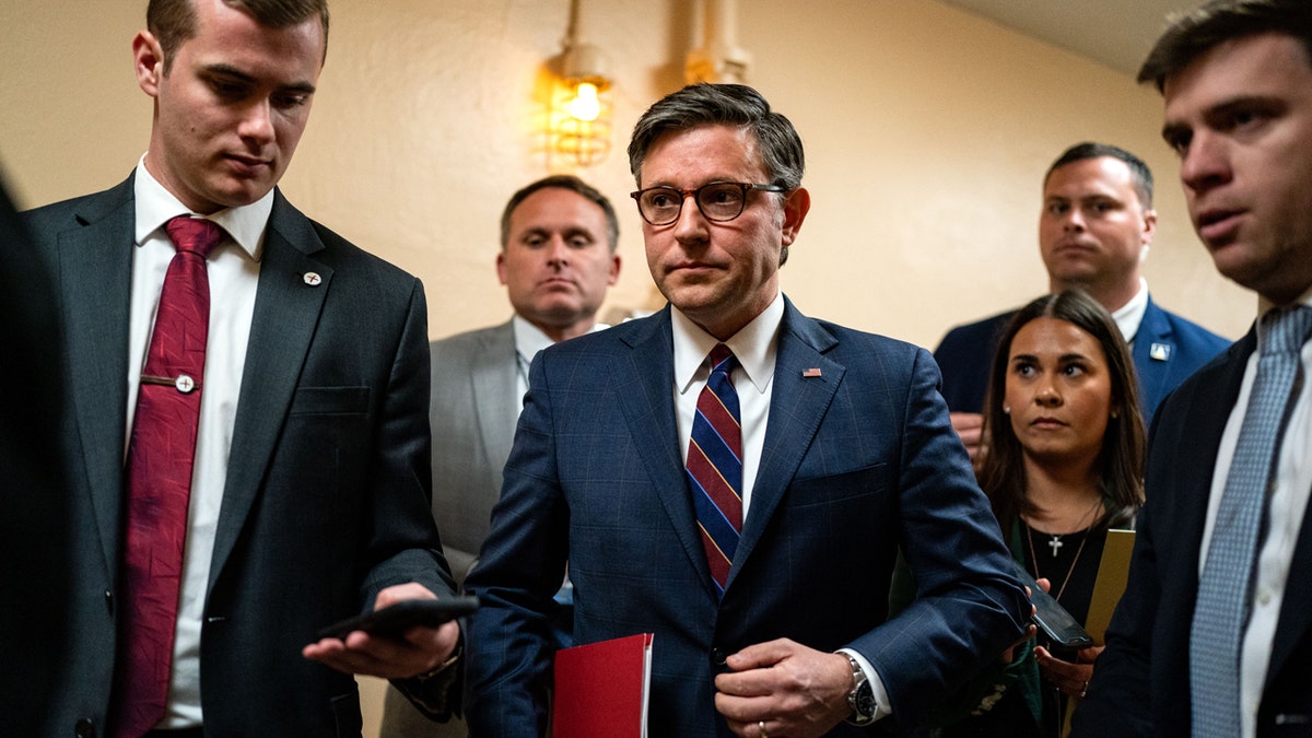 Image for House Speaker Mike Johnson warns Epstein files release could threaten national security