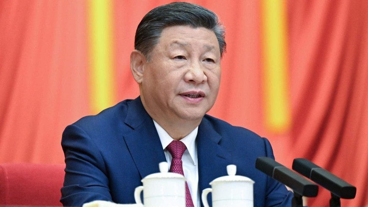 Xi Jinping Offers to Fulfill Serbian President's Requests, Prompting Factory Proposal