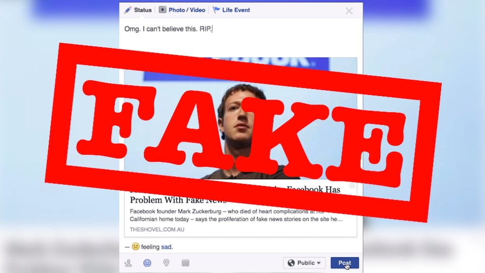 How to spot fake news
