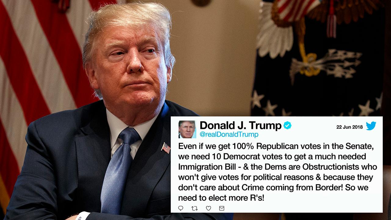 Trump suggests GOP is wasting time with immigration bill | Fox News Video