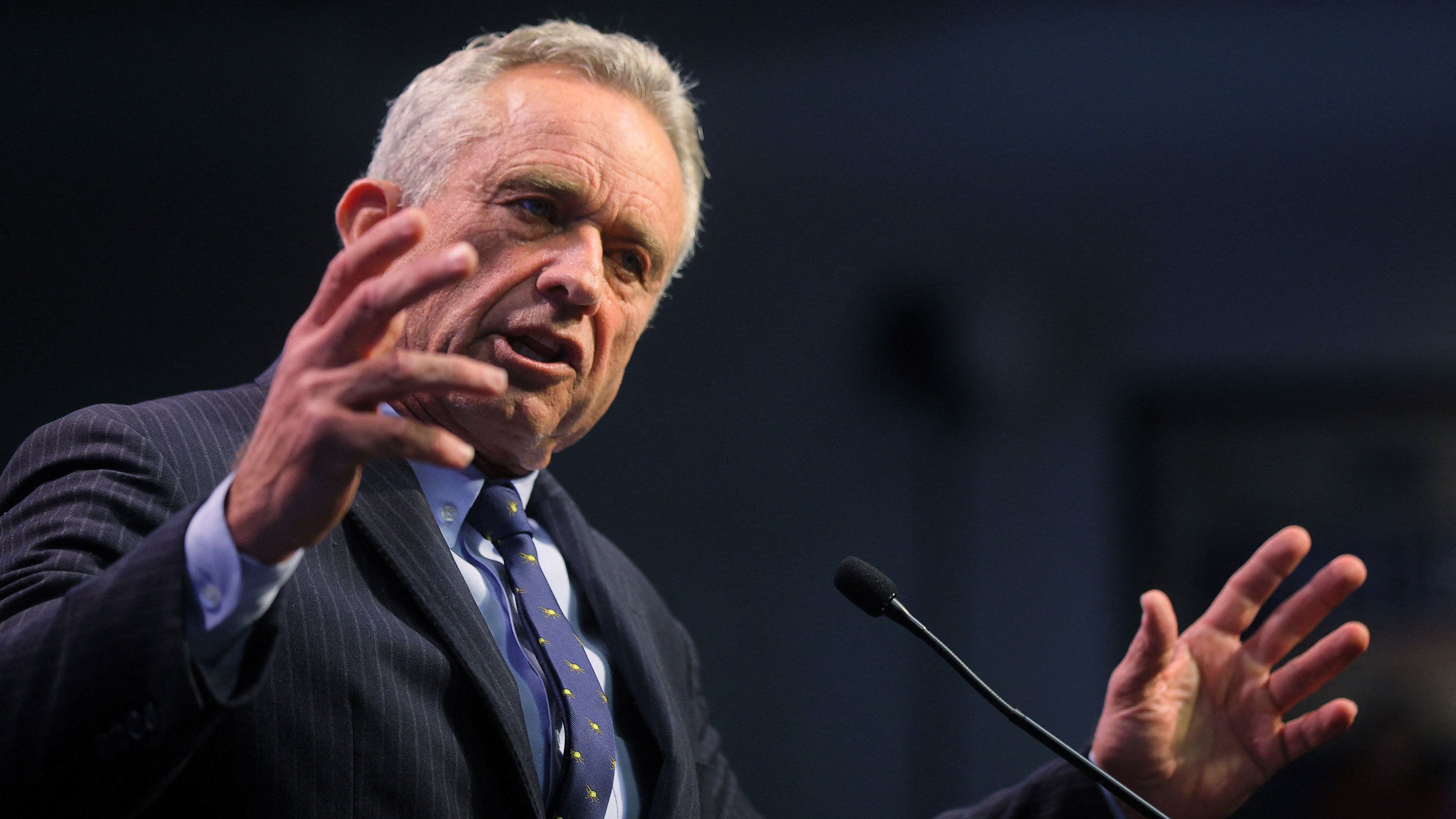 Judges Face Unprecedented Threats as Democracy Crumbles Under Political Attacks