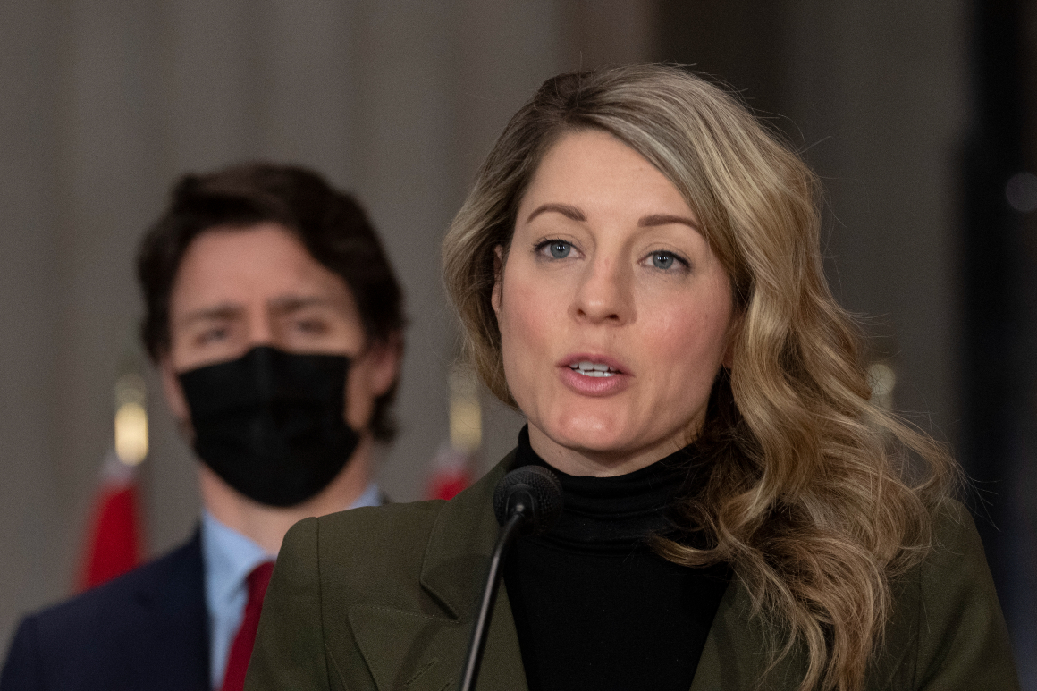 Meet the Trudeau protege who might one day have his job ...