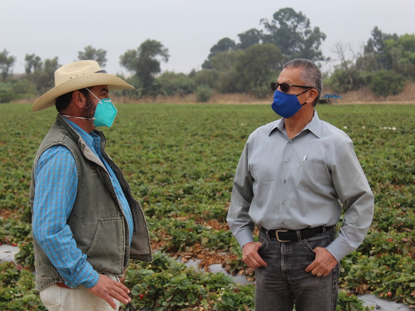 Farm Workers Face Double Threat: Wildfire Smoke And COVID-19 ...