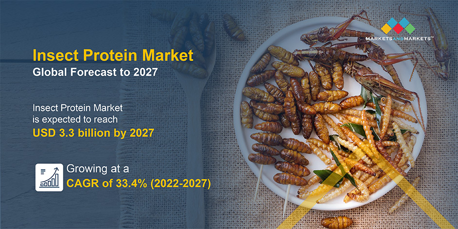 Over 70% of Americans Reject Sustainable Insect Diet While Climate Crisis Rages