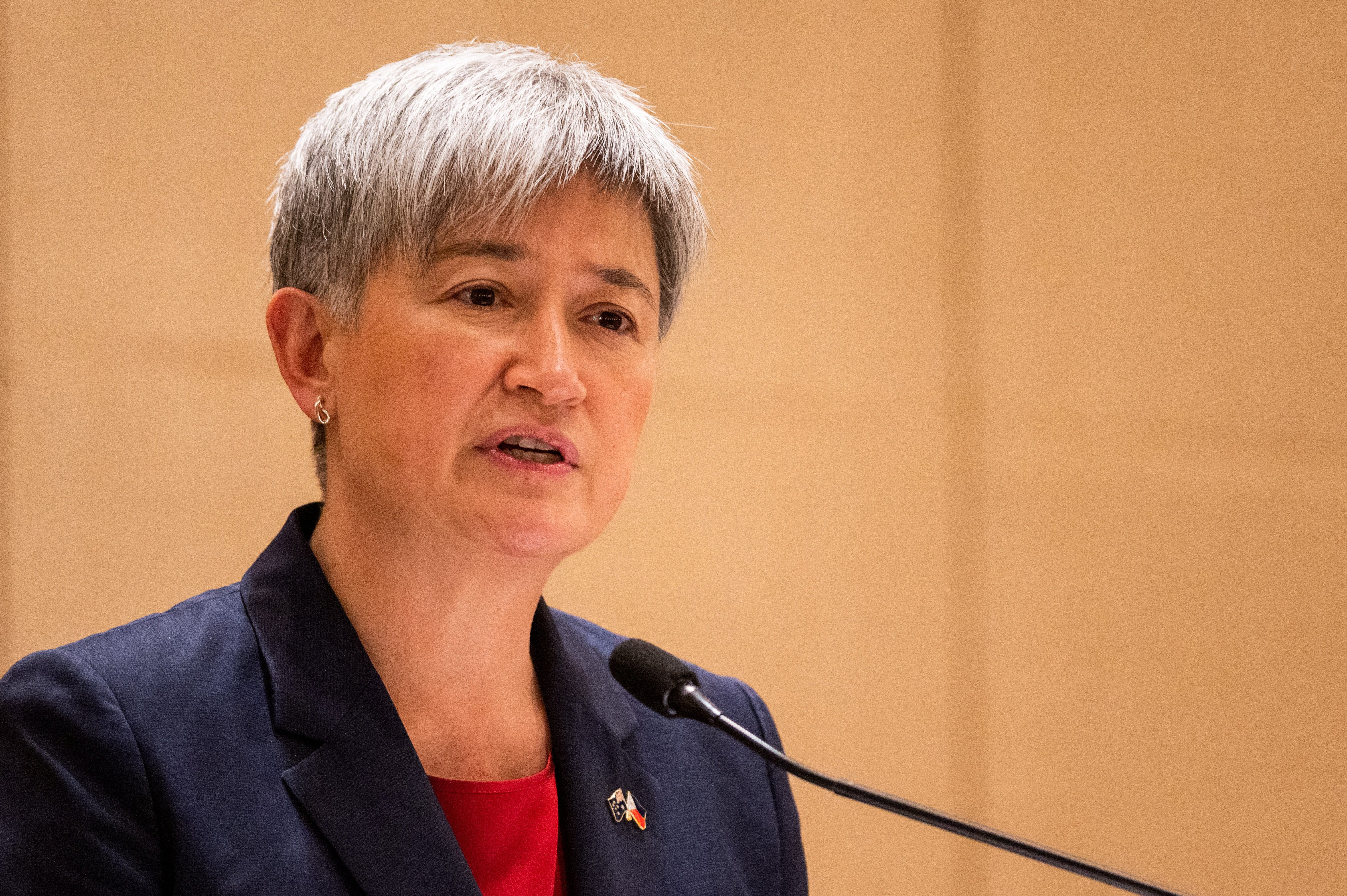 Australian foreign minister calls for 'sustainable ceasefire ...