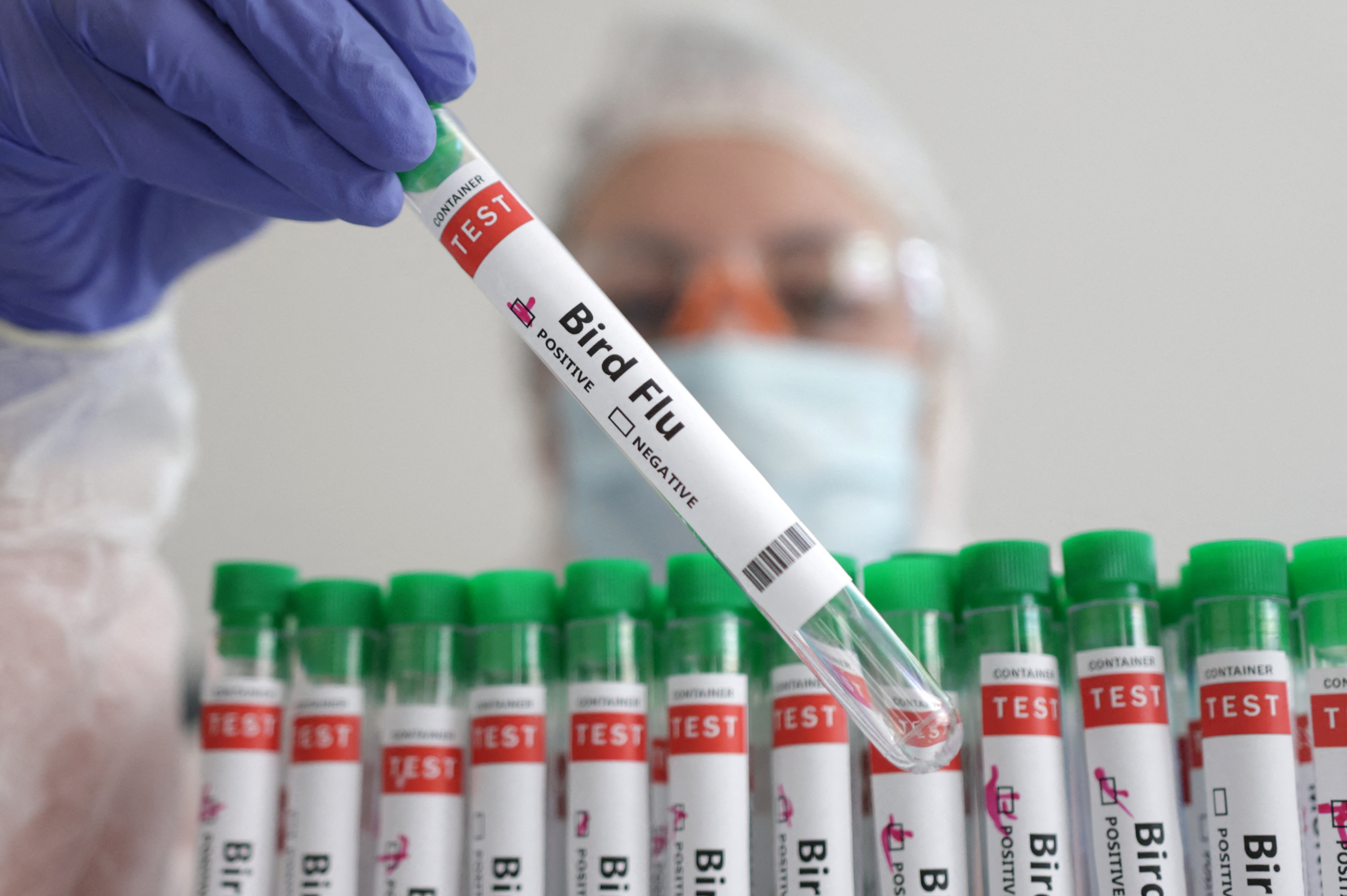 US relaxes regulations for labs handling bird flu samples to ...