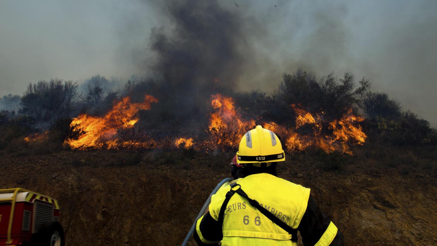 Firefighters battle France's 1st major forest blaze of 2023 ...