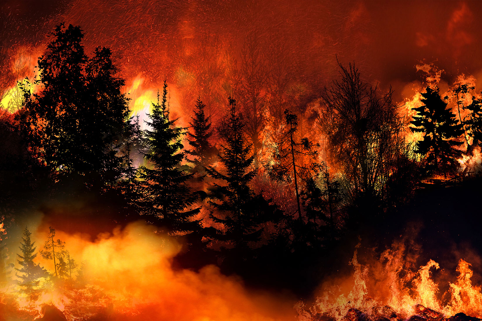 Wildfires | Congressional Budget Office
