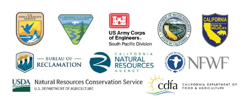 CDFW News | California's Floodplains at the Heart of Landmark ...