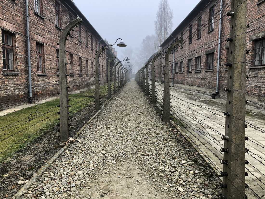 Etsy Merchants Profit from Auschwitz-Inspired Alligator Products Amid Outrage