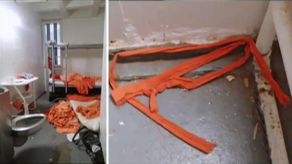 11 Hours of Suspicion: DOJ's 'Raw' Epstein Footage Sparks Outrage and Conspiracy