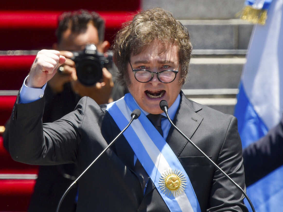 Argentina's Javier Milei warns nation of painful economic ...