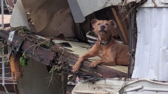 Over 100 Lives Lost as Texas Floods Reveal Systemic Failures and Climate Crisis Ignored