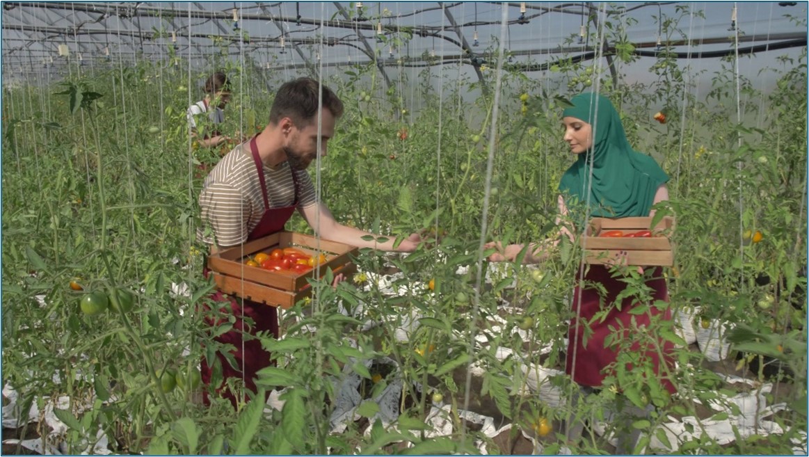 California Helps Ventura County Agricultural Workers Recently ...