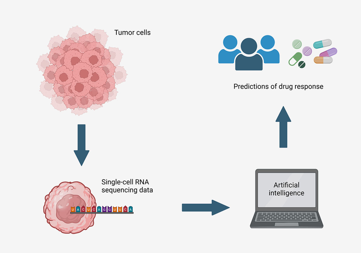 NIH researchers develop AI tool with potential to more ...