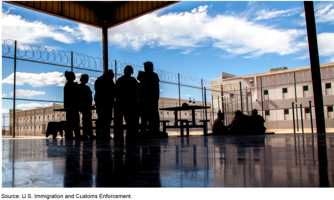 Trump's Immigration Crackdown Turns on His Own Supporters as Nonviolent Migrant Detained