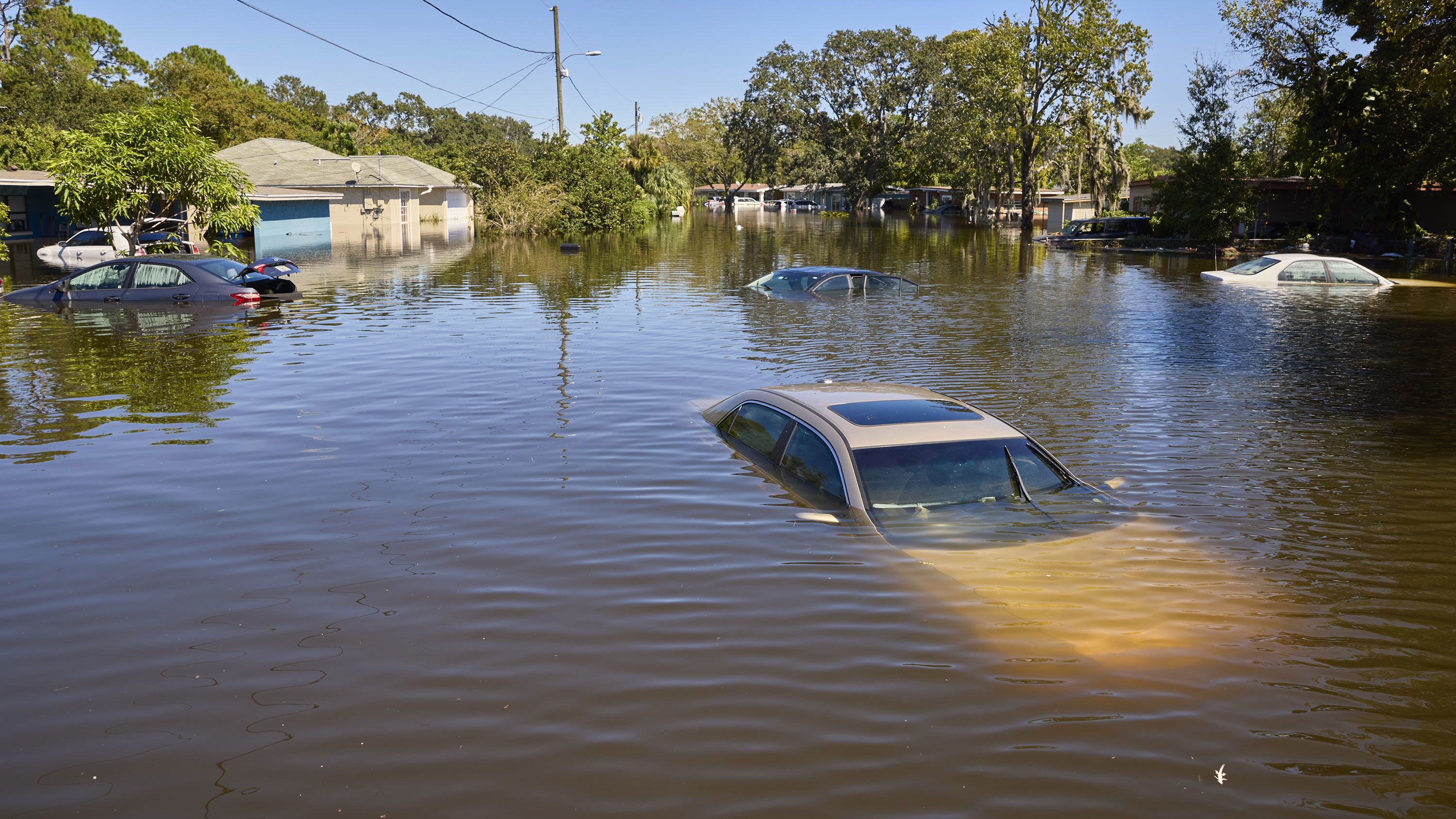 95 Dead in Texas Floods as Trump Dismantles Disaster Response Agency