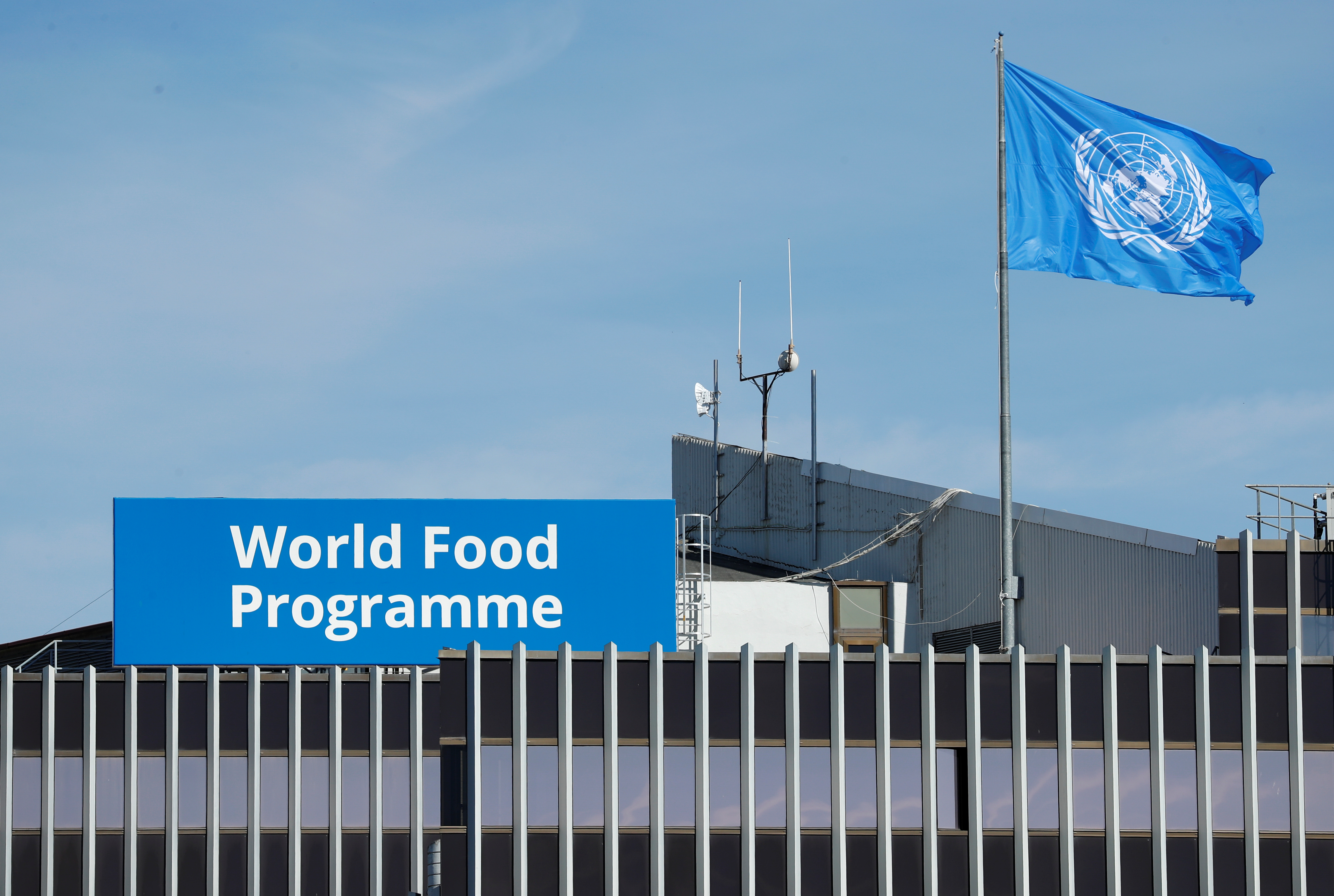 What is the World Food Programme, and what does it do? | Reuters
