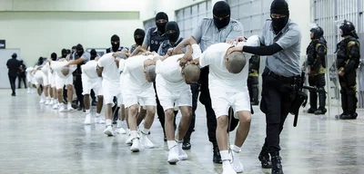 Judge Blocks Trump's Rapid Deportation Plan, Citing Due Process Violations