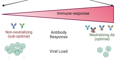 South Korean study finds increased cancer risks post-COVID injection