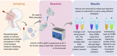 Study finds only one in seven positive PCR tests in Germany indicate COVID infection