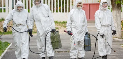 ECDC advises EU health ministers on actions to prevent bird flu pandemic