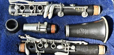 Florida school locked down after AI misidentified clarinet as gun