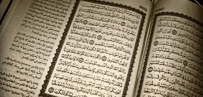 Bible sales in the UK rise 134% in six years, driven by Gen Z