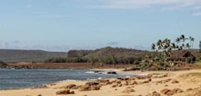 German refugee population declines for first time in 14 years