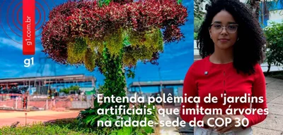 Belém's 'eco-trees' renamed to 'hanging gardens' amid COP30 controversy
