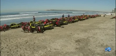 18 Navy SEALS Disciplined for Racist Harassment of Black SEAL