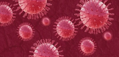 World Health Organization declares autism cannot be caused by vaccines