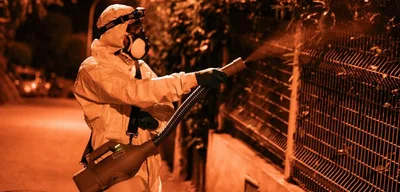 New York reports first locally transmitted case of chikungunya virus