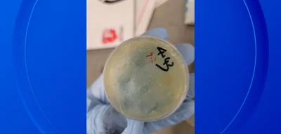 DOJ charges three Chinese nationals at University of Michigan for illegal import of biological materials