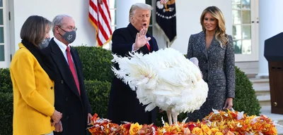 Trump declares last year's turkey pardons null and void
