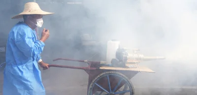 Foshan Faces Chikungunya Surge with 2,892 Cases in a Week Amid Control Efforts