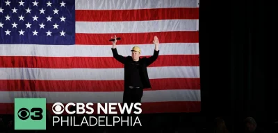 Elon Musk's America Party Threatens Democracy with Corporate Control